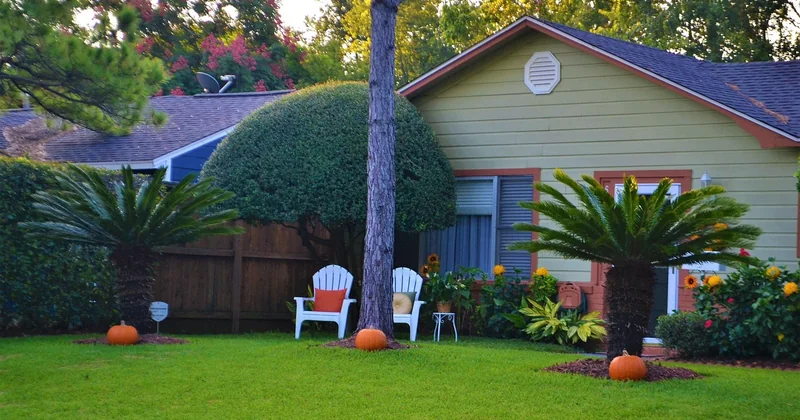Entretenir sa cabane : la faire durer plus longtemps
