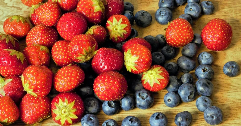 Les matières et objets qui méritent une seconde vie