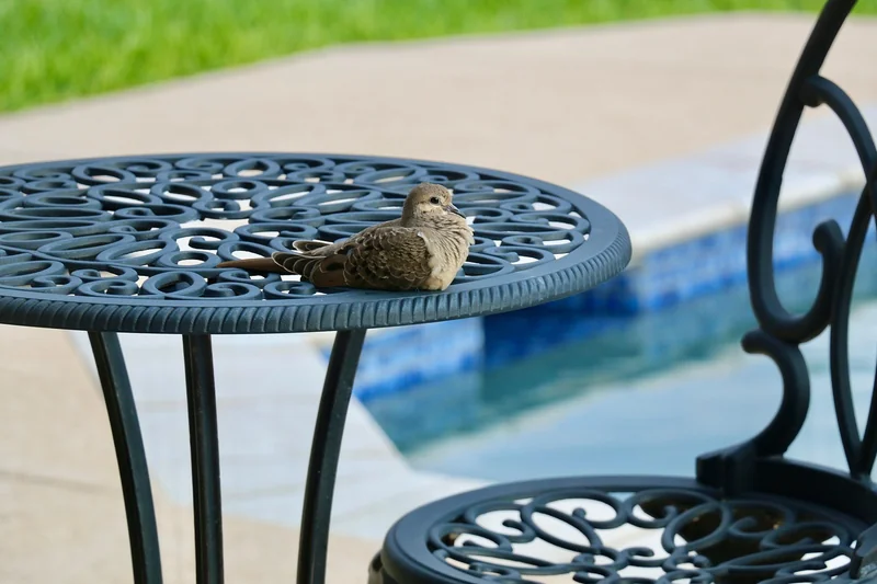 Mesurer une piscine rectangulaire ou carrée